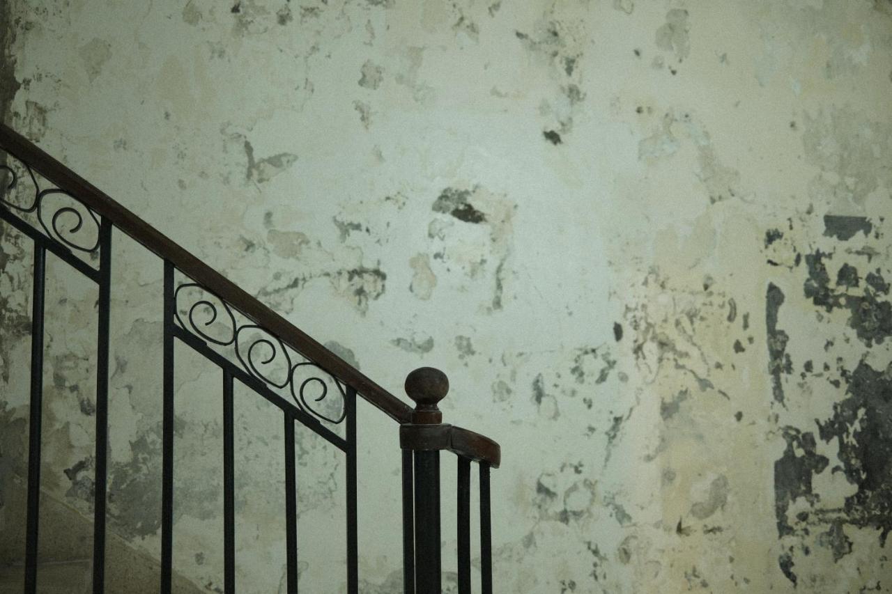 Maison Victoire, Pointe-A-Pitre Екстер'єр фото